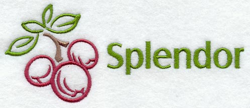 Splendor Cranberries