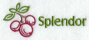 Splendor Cranberries