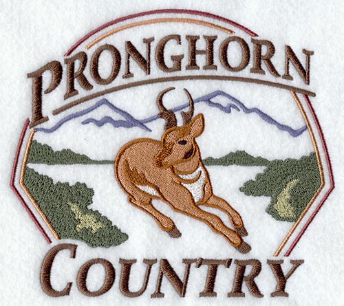 Pronghorn Country