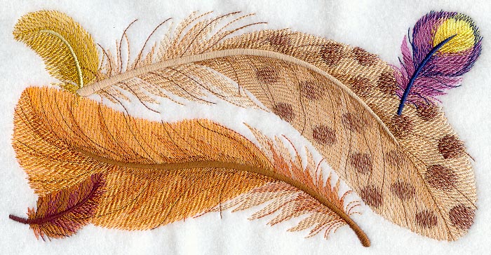 Fancy Feathers Border