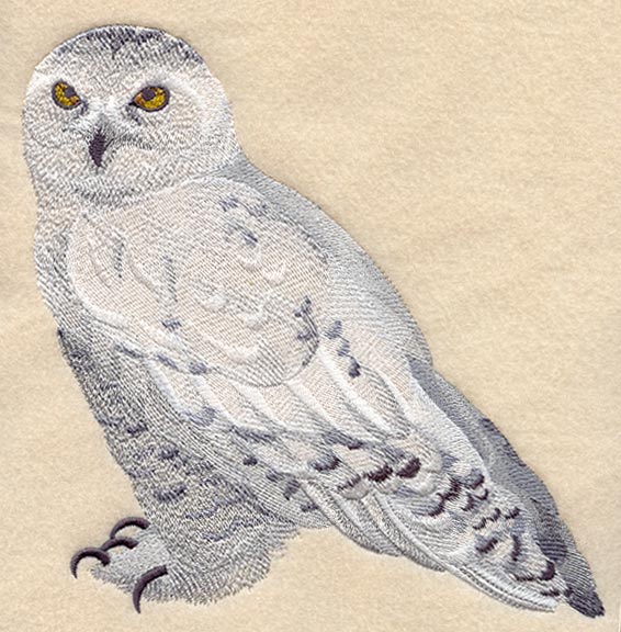 Snowy Owl