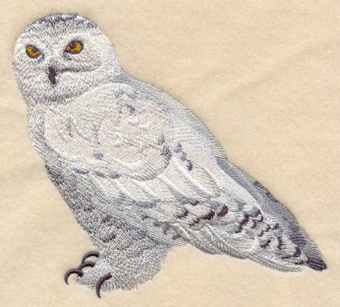 Snowy Owl