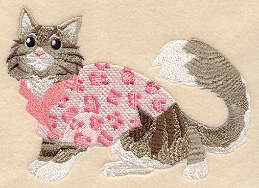 Maine Coon in Pajamas