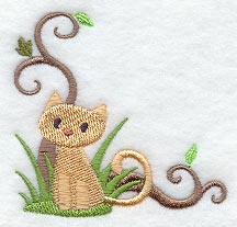 Curious Kitty Corner