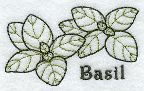 Basil (Redwork)