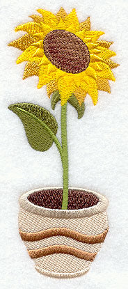 Pretty Potted Sunflower