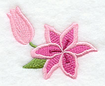 Stargazer Lily Blossom