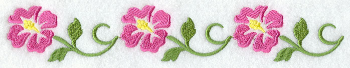 Gentle Hibiscus Border