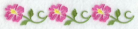 Gentle Hibiscus Border
