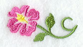 Gentle Hibiscus Border