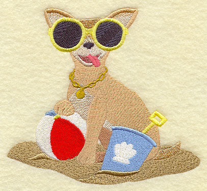 Chihuahua at the Beach