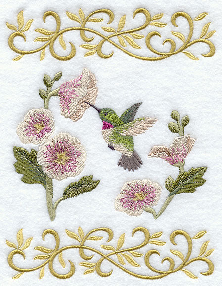 Elegant Hummingbird
