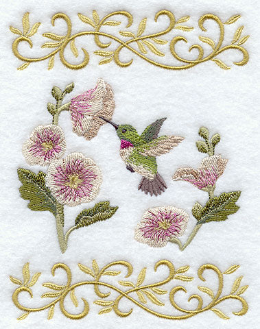 Elegant Hummingbird