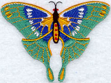 Chinese Butterfly Kite