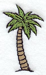 Palm Tree