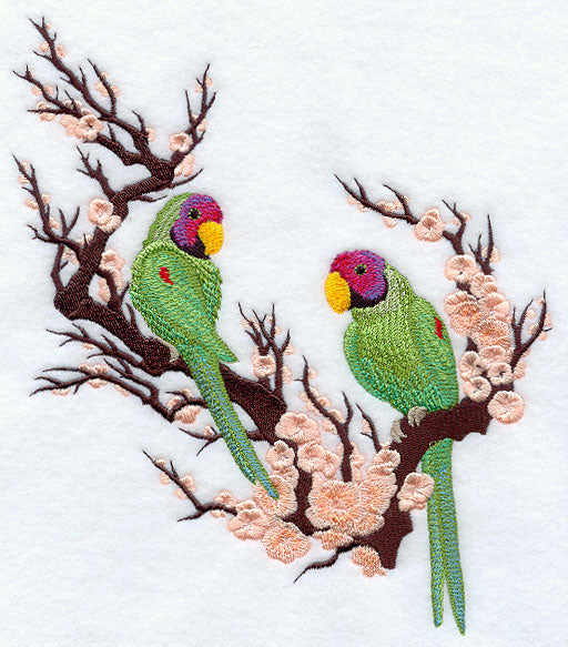 Asian Parakeets