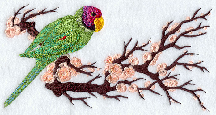 Asian Parakeet Border