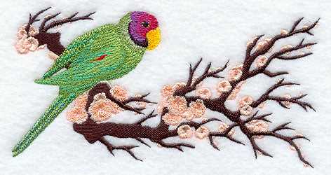 Asian Parakeet Border