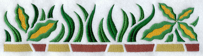 African Grasses Border