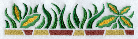 African Grasses Border