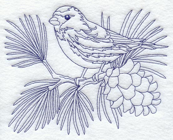 Hoary Redpoll (Bluework)