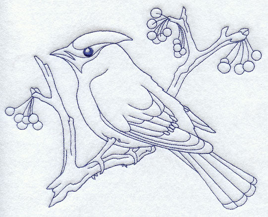 Bohemian Waxwing (Bluework)