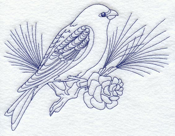 Pine Grosbeak (Bluework)