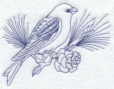 Pine Grosbeak (Bluework)