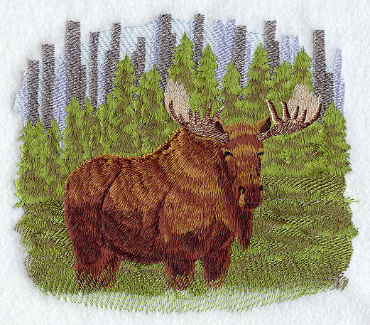 Moose In The Woods