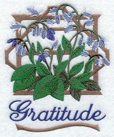 Bluebells - Gratitude
