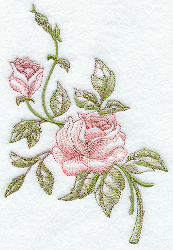Victorian Roses