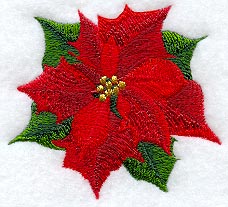 Poinsettia Blossom