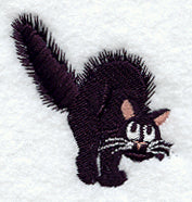 Spellbound the Cat - Arched