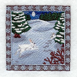 Snowshoe Hare Square