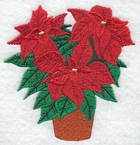 Potted Poinsettia