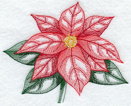 Sheer Poinsettia II