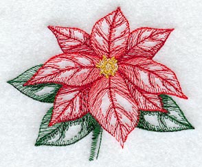 Sheer Poinsettia II