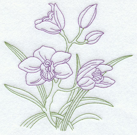 Cymbidium Orchid (Vintage)