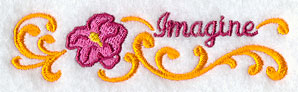 Hibiscus Border - Imagine