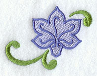 Hyacinth Accent