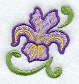 Iris Accent