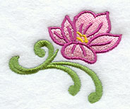 Clematis Accent