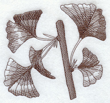 Glorious Ginkgo Leaves 1