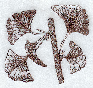 Glorious Ginkgo Leaves 1