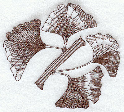 Glorious Ginkgo Leaves 2
