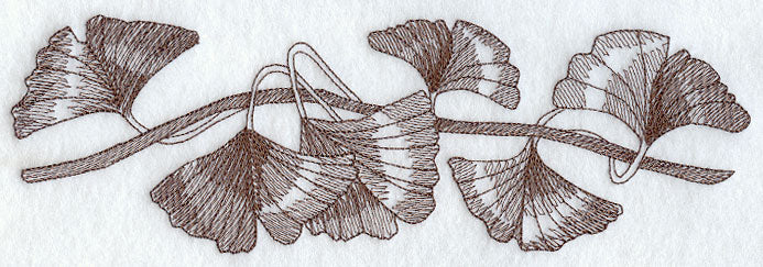Glorious Ginkgo Border