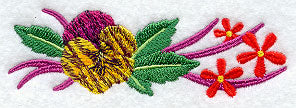 Tiger Pansy Border
