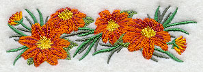 Mexican Flower Border
