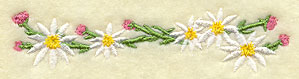 North American Flower Border