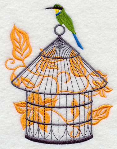 African Birdcage